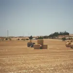 Mbështetje për fermerët: 30 mijë lekë për hektar për kultivimin e bimëve mjekësore nga Skema Kombëtare