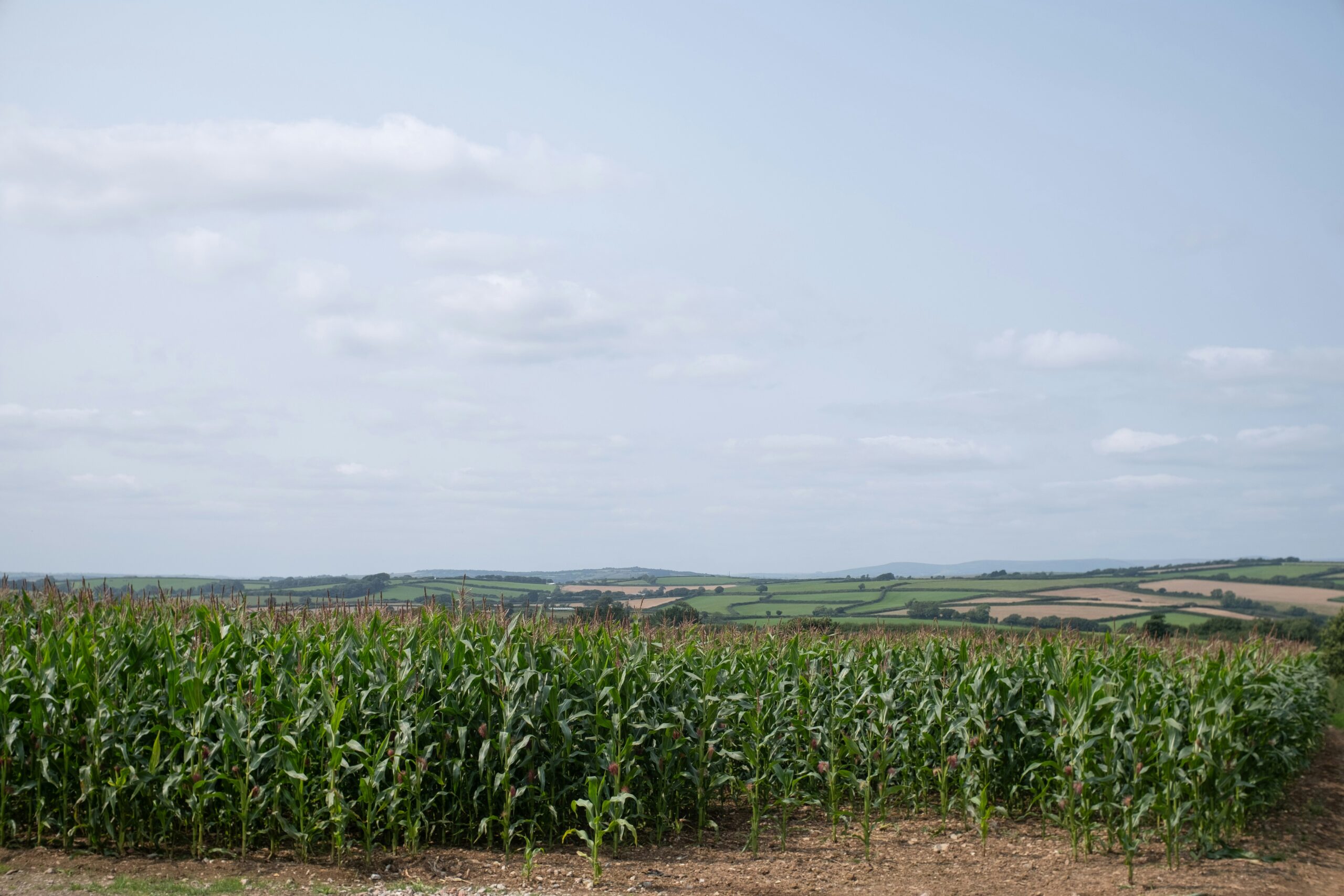Financimi në bujqësi merr shtesë 5 Milionë Euro në skemën e vitit 2024