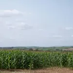 Financimi në bujqësi merr shtesë 5 Milionë Euro në skemën e vitit 2024