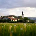 FSHZH ka shpallur një tender me vlerë 142 milionë lekë për të standardizuar dhe përmirësuar imazhin e fshatrave turistike në Shqipëri.