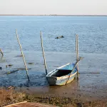 Laguna e Karavastasë: FSHZH angazhohet me kontratë prej 1.45 milionë eurosh