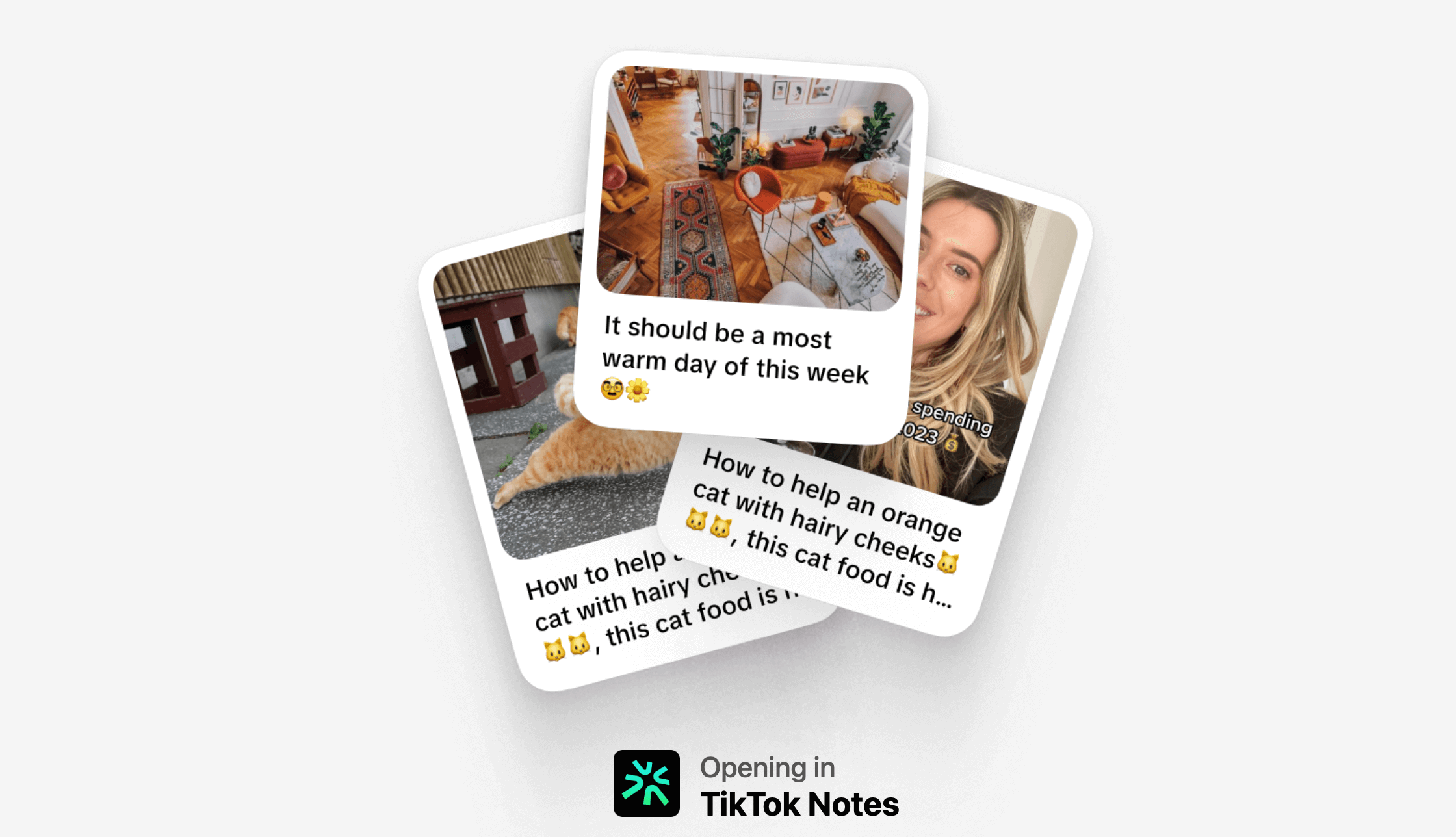 TikTok Notes: Revolucioni në Botën e Mediave Sociale