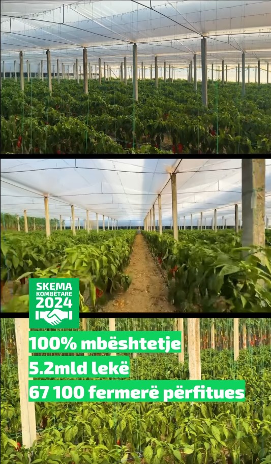 Fermerët e bashkuar sigurojnë mbështetje të plotë nga Skema Kombëtare